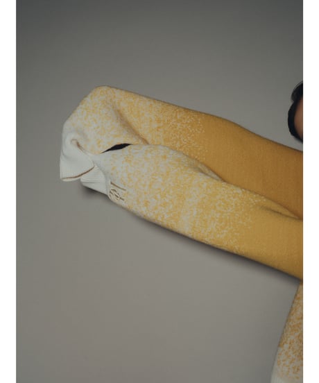 Gradation Knit Sweat Pullover  <Yellow> 23HEAW-026