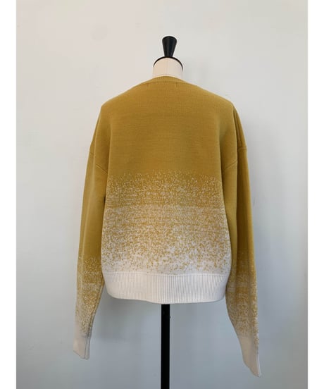 Gradation Knit Sweat Pullover  <Yellow> 23HEAW-026