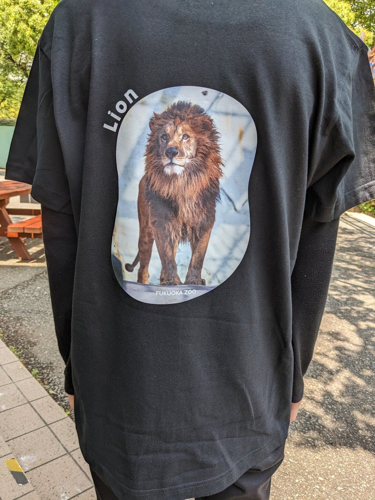 【即購入可】ライオンの隠れ家 ライオン 刺繍 Tシャツ fit=scale-down,w=1200