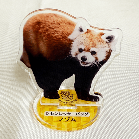 FUKUOKA ZOO RED PANDAS　アクリルスタンド