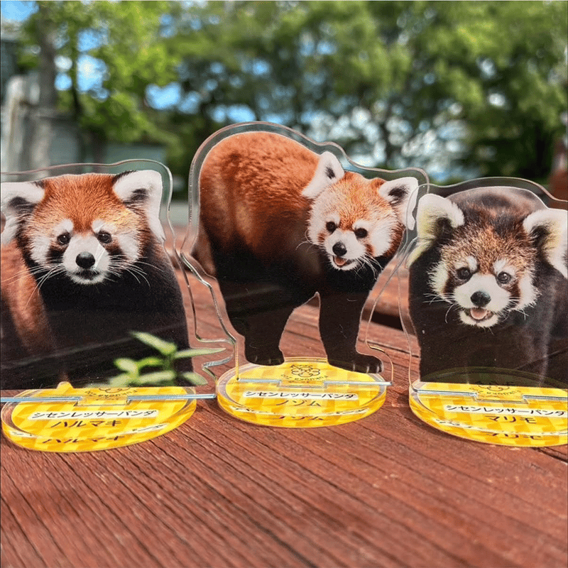 FUKUOKA ZOO RED PANDAS アクリルスタンド | 福岡市動植物園 こども動物