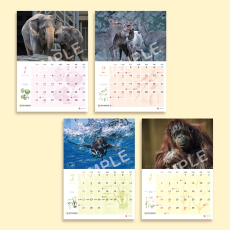 福岡市動植物園　2026年壁掛けカレンダー