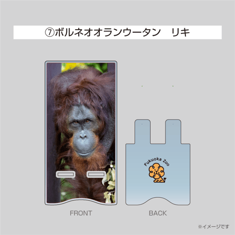 アクリルスマホスタンド