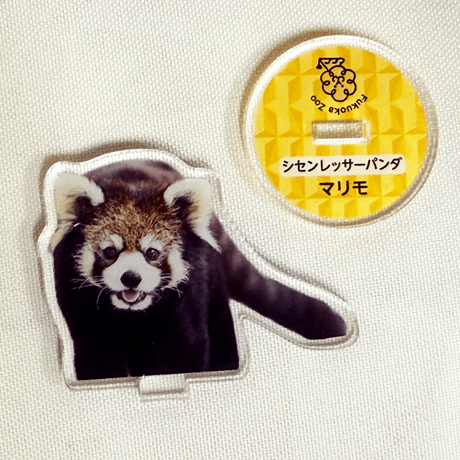 FUKUOKA ZOO RED PANDAS　アクリルスタンド