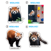 FUKUOKA ZOO RED PANDAS　ダイカットステッカー