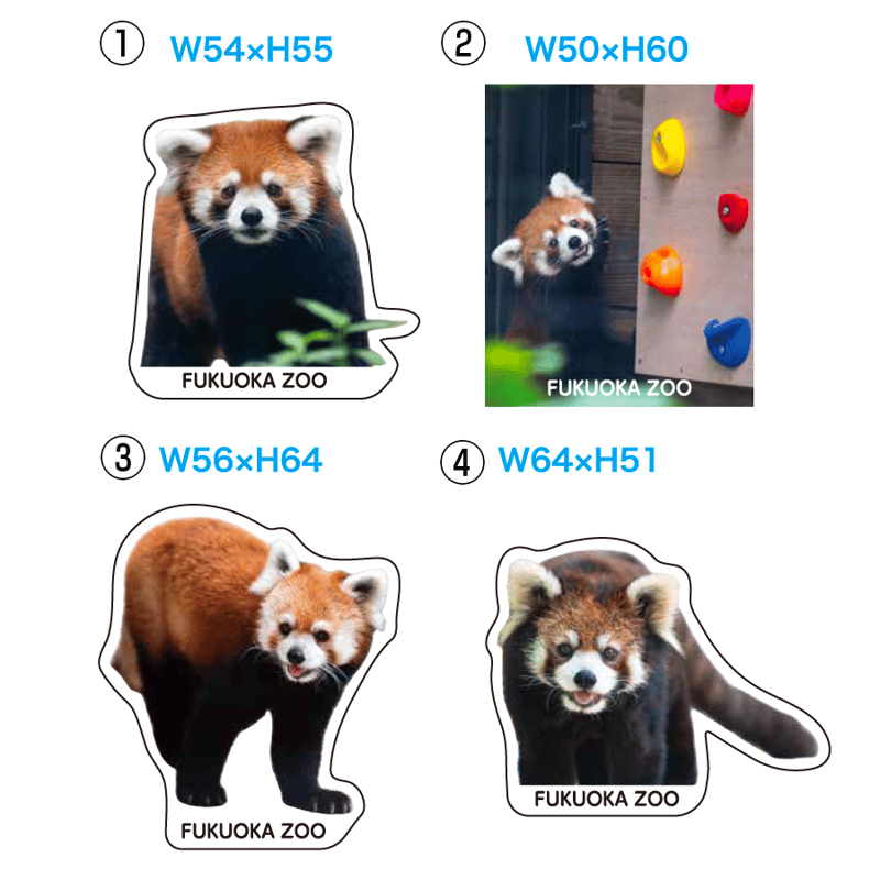 FUKUOKA ZOO RED PANDAS ダイカットステッカー | 福岡市動植物園 こども