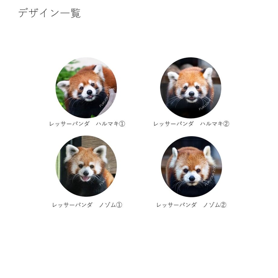 649d137e4e941c002edadc31