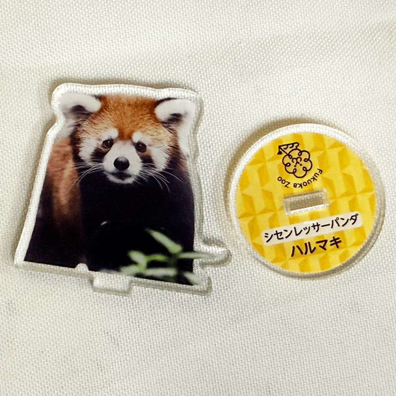 FUKUOKA ZOO RED PANDAS アクリルスタンド | 福岡市動植物園 こども動物