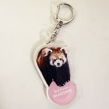 FUKUOKA ZOO RED PANDAS　アクリルキーホルダー