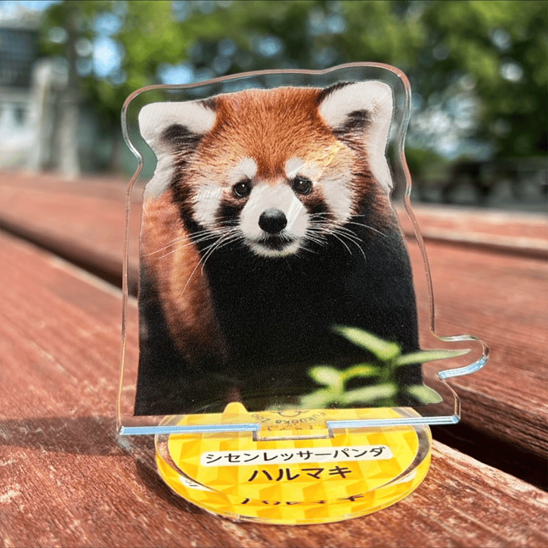 FUKUOKA ZOO RED PANDAS アクリルスタンド | 福岡市動植物園 こども動物