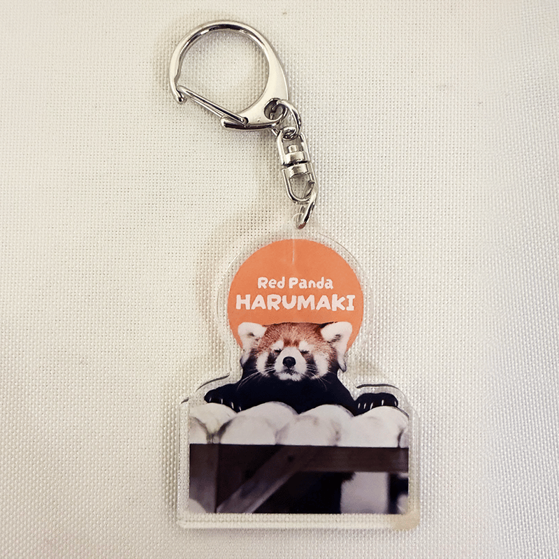 FUKUOKA ZOO RED PANDAS アクリルキーホルダー | 福岡市動植物園 こども