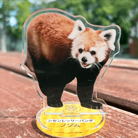 FUKUOKA ZOO RED PANDAS　アクリルスタンド