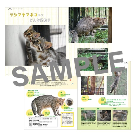 福岡市動物園　開園70周年記念誌　『ツシマヤマネコのあしあと』