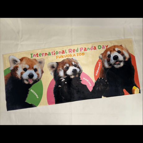 FUKUOKA ZOO RED PANDAS　フェイスタオル