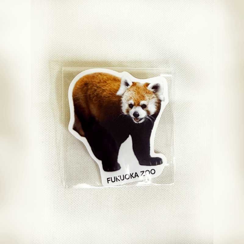 FUKUOKA ZOO RED PANDAS ダイカットステッカー | 福岡市動植物園 こども