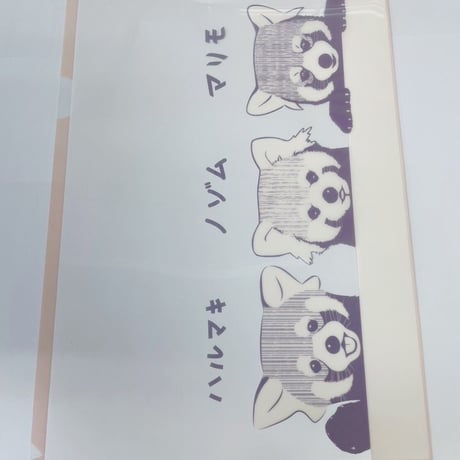 【全４種】福岡市動物園　オリジナルクリアファイル
