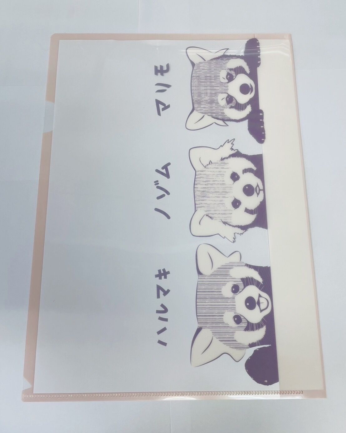 福岡食めぐり　クリアファイル　長義 全4種】福岡市動物園 オリジナルクリアファイル | 福岡市動