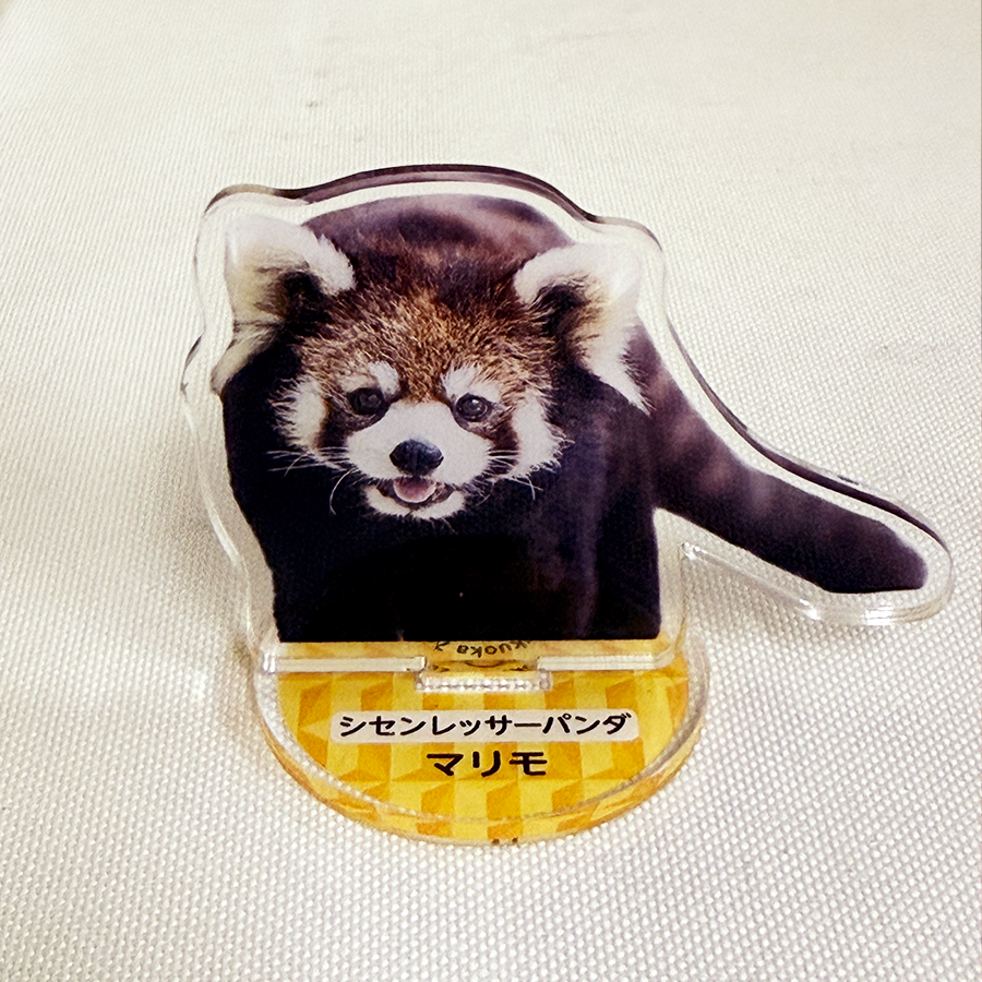 FUKUOKA ZOO RED PANDAS アクリルスタンド | 福岡市動植物園 こども動物
