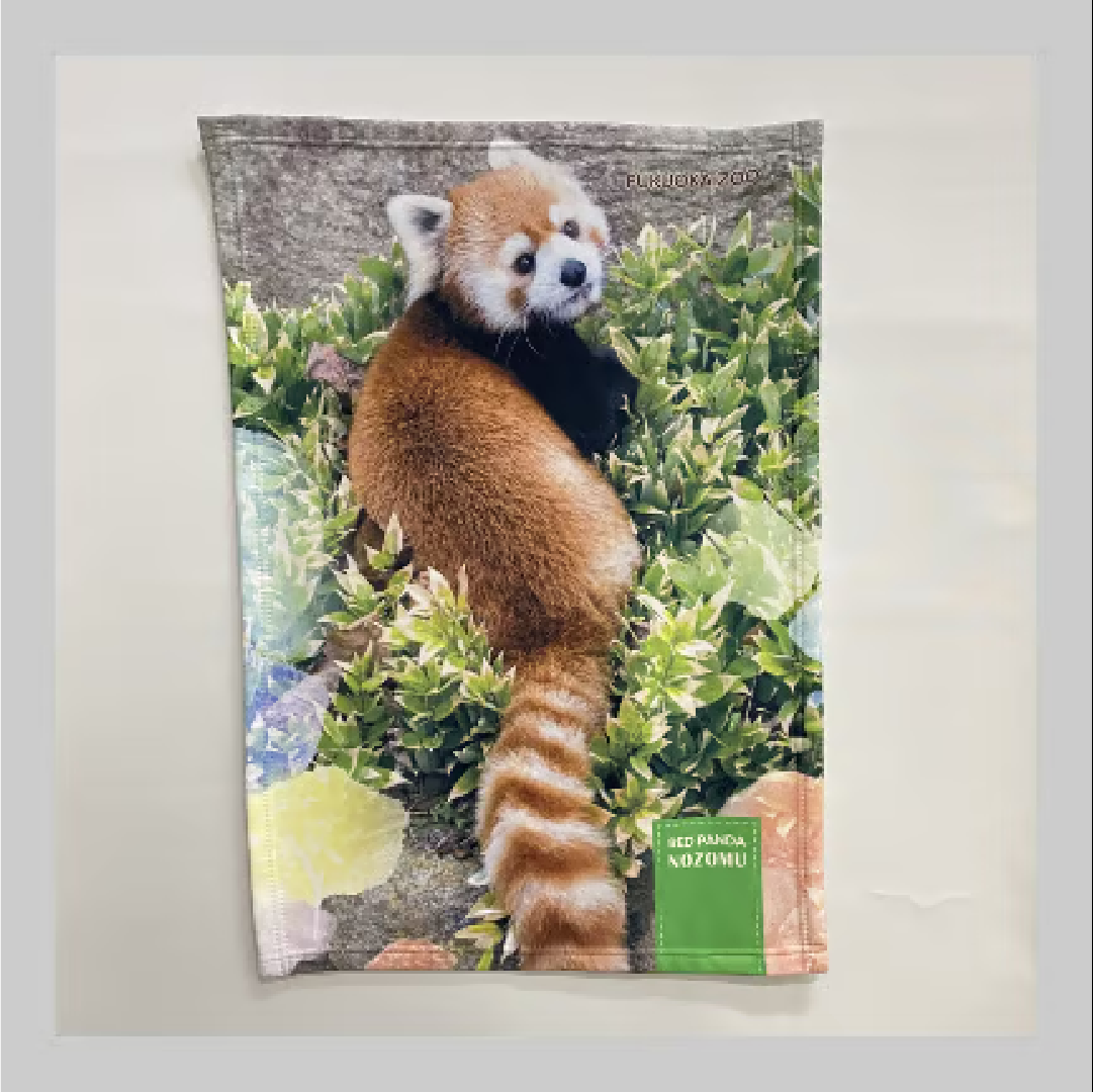 全6種】福岡市動物園 オリジナルブランケット | 福岡市動植物園