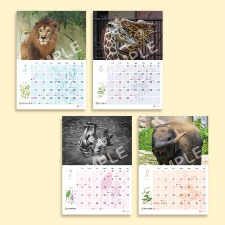 福岡市動植物園　2026年壁掛けカレンダー