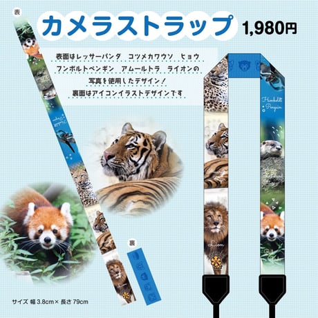 【カメラストラップ】（レッサーパンダ、コツメカワウソ、ヒョウ、フンボルトペンギン、アムールトラ、ライオン）