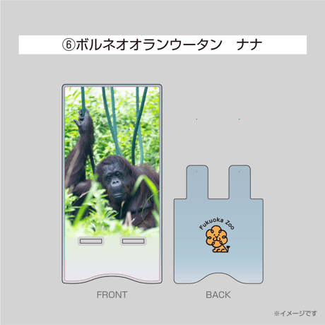 アクリルスマホスタンド