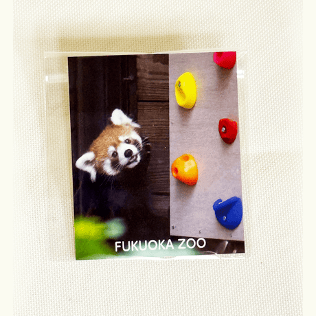 FUKUOKA ZOO RED PANDAS　ダイカットステッカー