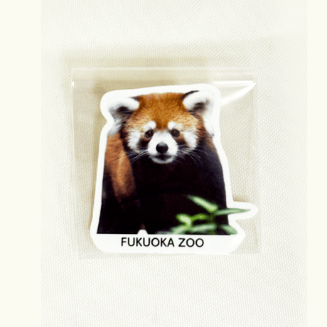 FUKUOKA ZOO RED PANDAS　ダイカットステッカー