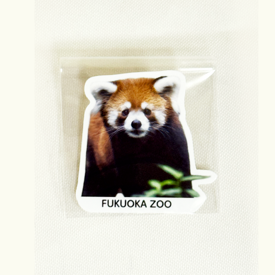 FUKUOKA ZOO RED PANDAS ダイカットステッカー | 福岡市動植物園 こども