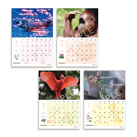 福岡市動植物園　2024年壁掛けカレンダー