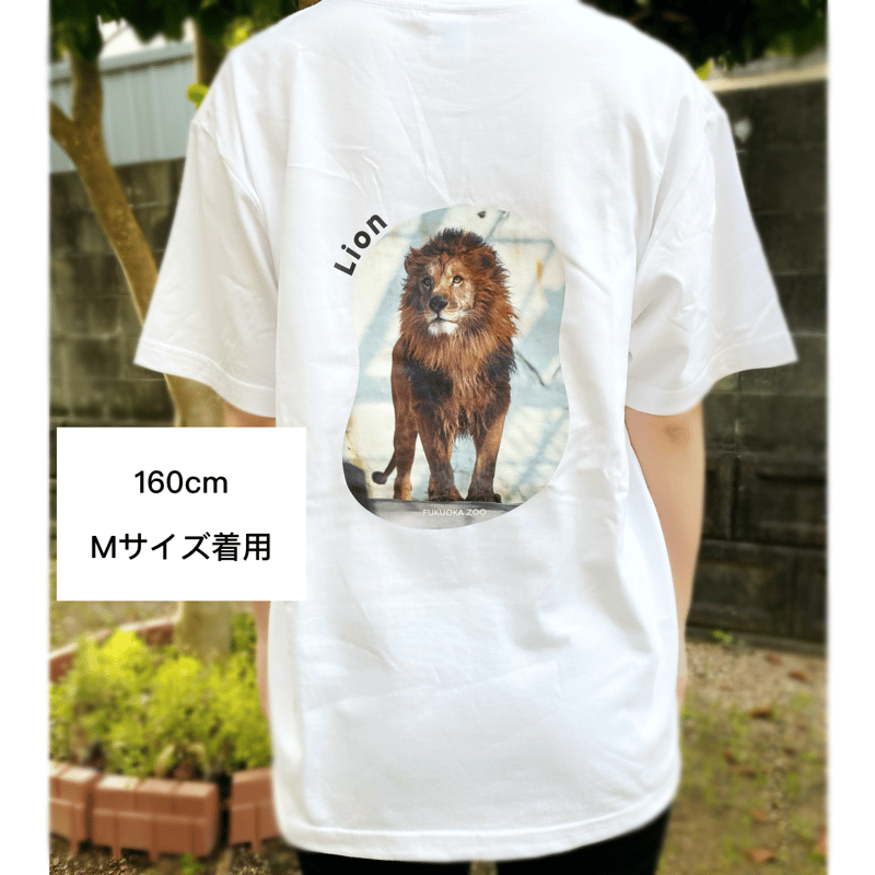 全1種】ライオンバックプリント半袖Tシャツ | 福岡市動植物園 こども