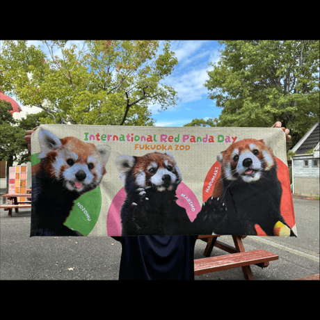 FUKUOKA ZOO RED PANDAS　フェイスタオル
