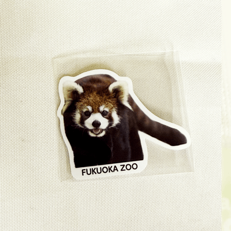 FUKUOKA ZOO RED PANDAS　ダイカットステッカー