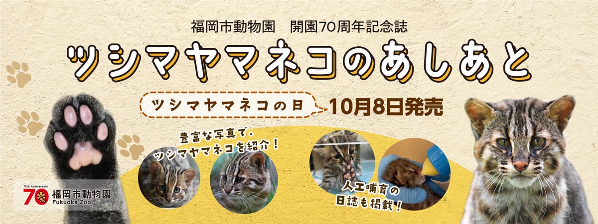 まさむねこオーダーページ 3 Illustrations by 黒ねこ意匠 | RE:SHAZAM®︎