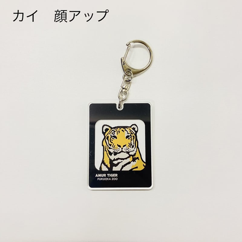 アクリルキーホルダーセット 動物デザイン 楽天市場】名入れ アクリルキーホルダー（動物）/イラスト全20種