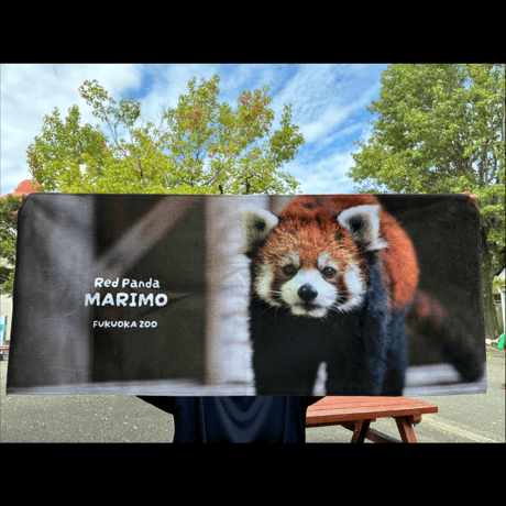 FUKUOKA ZOO RED PANDAS　フェイスタオル