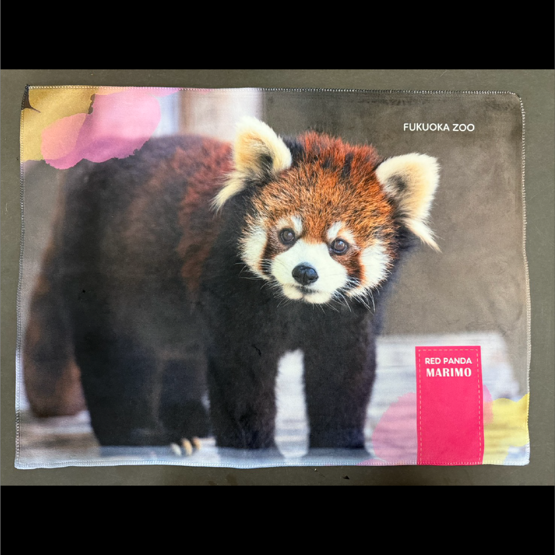 全6種】福岡市動物園 オリジナルブランケット | 福岡市動植物園