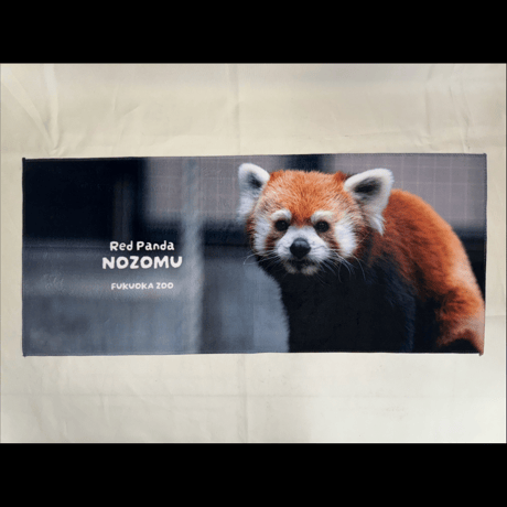 FUKUOKA ZOO RED PANDAS　フェイスタオル