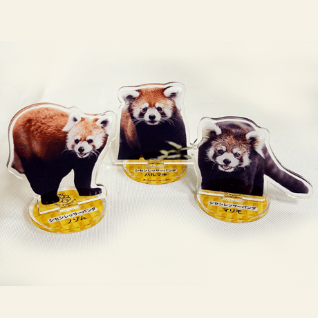 FUKUOKA ZOO RED PANDAS　アクリルスタンド