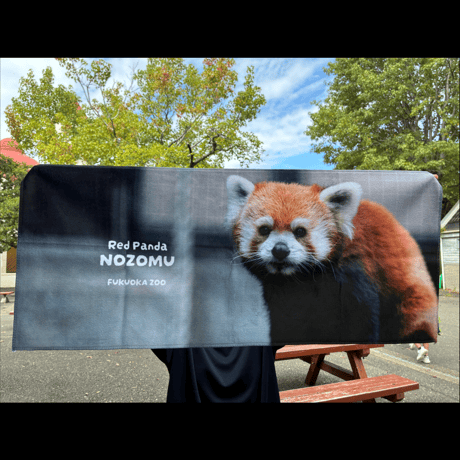 FUKUOKA ZOO RED PANDAS　フェイスタオル