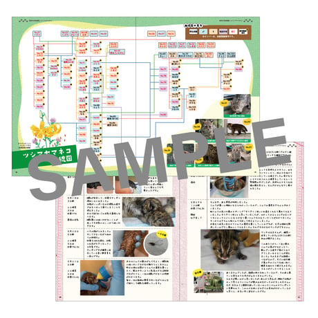 福岡市動物園　開園70周年記念誌　『ツシマヤマネコのあしあと』
