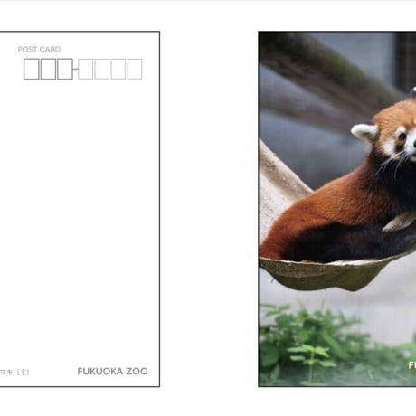 【全８種】福岡市動物園　オリジナルポストカード