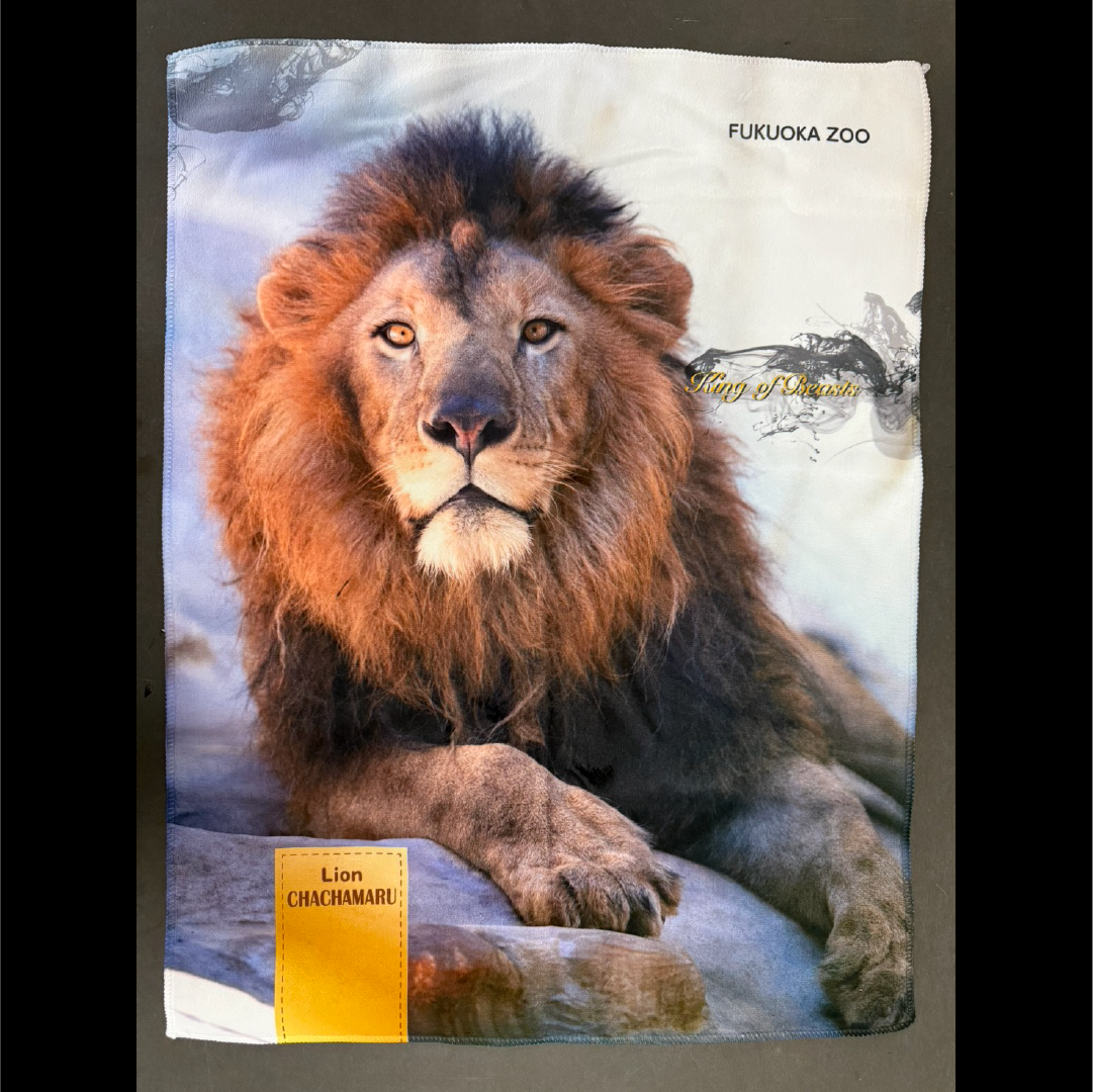 全9種】福岡市動物園 オリジナルブランケット | 福岡市動植物園 こども