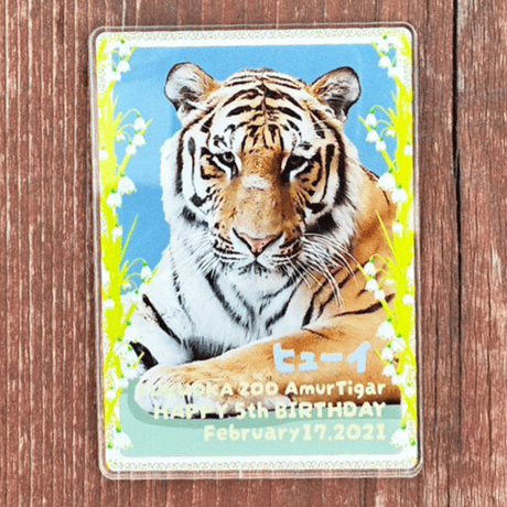 CATEGORY 雑貨 | 福岡市動植物園 こども動物園横食堂オンラインストア