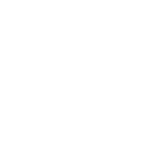 tao bagel