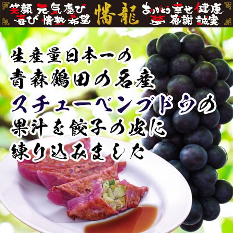 【冷凍】スチューベン餃子【20個】