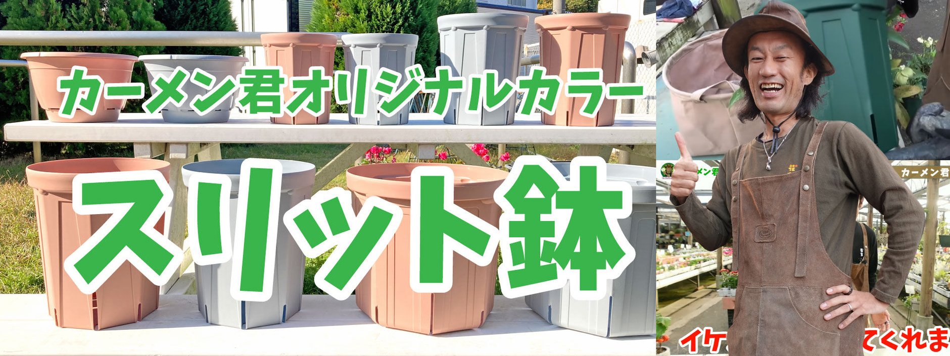 カーメン君オリジナルカラースリット鉢 特設販売サイト