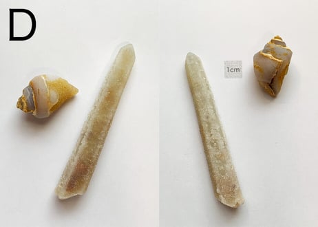 【くつろぐオーラに煌めく渦巻き】クリスタル2個セット（渦巻き結晶化した貝＆ドゥルージークォーツ）