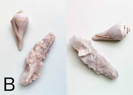 【くつろぐオーラに煌めく渦巻き】クリスタル2個セット（渦巻き結晶化した貝＆ドゥルージークォーツ）