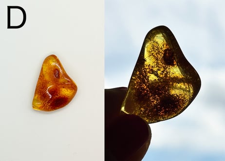 【大地と太陽の恵みは万能薬】ヒーリング用に活性化したアンバー1個
